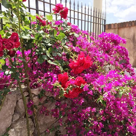 Nocleg ze śniadaniem Terre Di Sicilia 3*