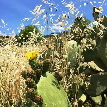 Bed & Breakfast Terre Di Sicilia Giardini-Naxos